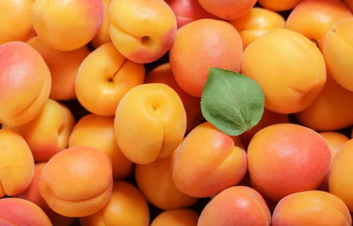 Webinaarissa 13.1. etsimme keinoja siihen, mistä säästöjä ja tehokkuutta julkishallintoon.