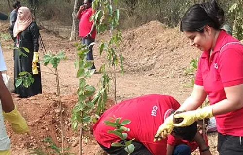 Volunteers helps on planting sapling