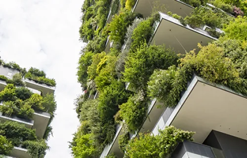 un bâtiment recouvert de végétation naturelle, représentant la durabilité environnementale
