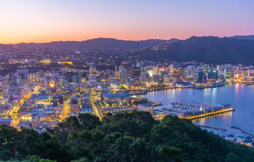 New Zealand landscape 