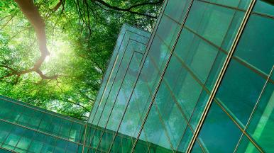 green forest reflected in a glass office building