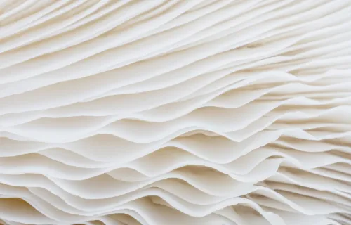 Paper stack closeup abstract