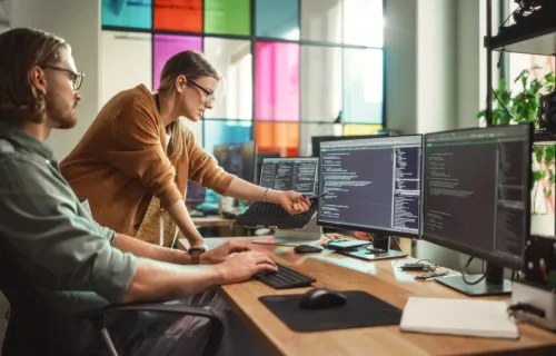 two professionals looking at data on computer screens