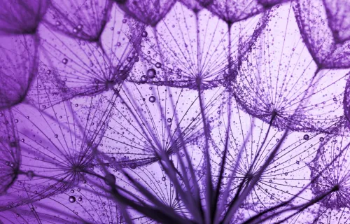 Reasoning risk controls