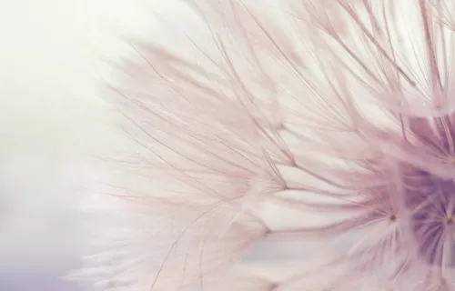 Optimisation, IA générative et informatique quantique