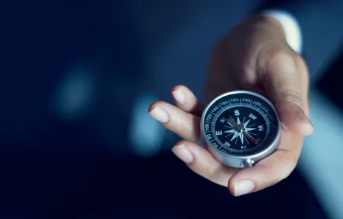 Navigeren door complex landschap