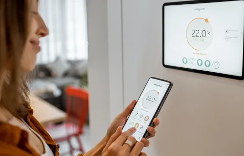 Consumer reviews smart meter data on i home screen and handheld device