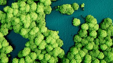 sustainability: view of trees and water from above