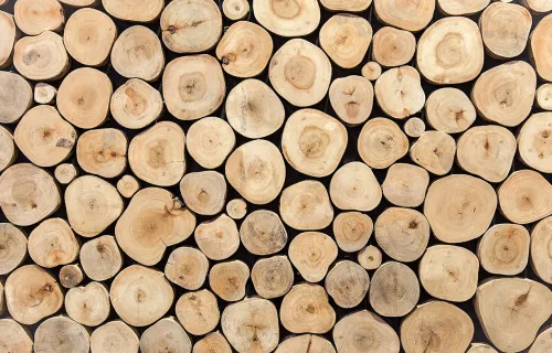 Närbild av staplade trästockar i olika storlekar, sedda framifrån och bildar ett mönster.