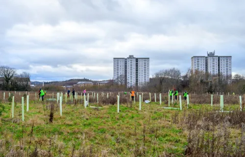 CGI and local authority volunteers plant trees in Edinburgh
