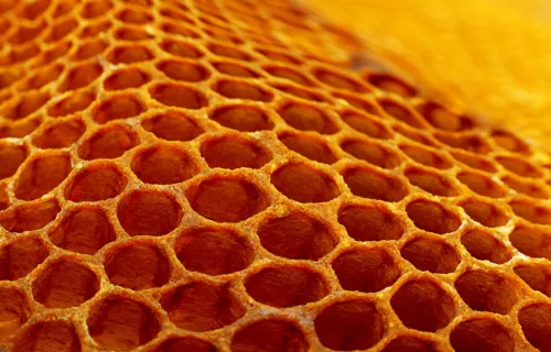 rayon de miel jaune