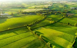 farm traceability blockchain