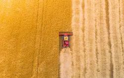 aerial_view_harvesting