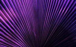 Fond abstrait orné de traînées lumineuses violettes
