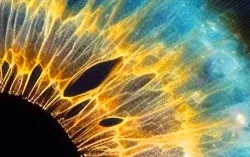 IA, gros plan de l'oeil humain