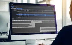 consultant looking at data on computer screen