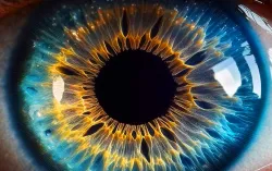 visão mais próxima do olho humano