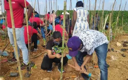 CGI employees help plant trees, representing our ESG volunteering efforts