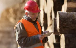 CGI and Forestry England partner to deliver eTimber