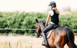 mobile retired horse and rider