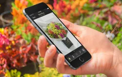 Interflora Mobile Commerce and Native App