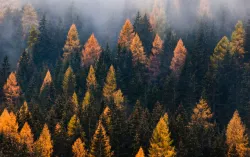 The business benefits to joining the Race to Zero