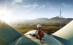 Research engineer looking at multi turbine wind farm