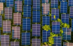 Aerial view of solar panel farm in a forest