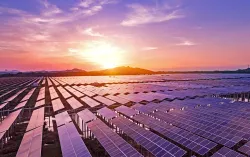 solar farm at sunset