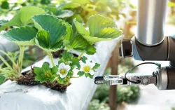 plant and technology representing sustainable IT