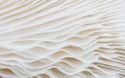 vagues blanches abstraites