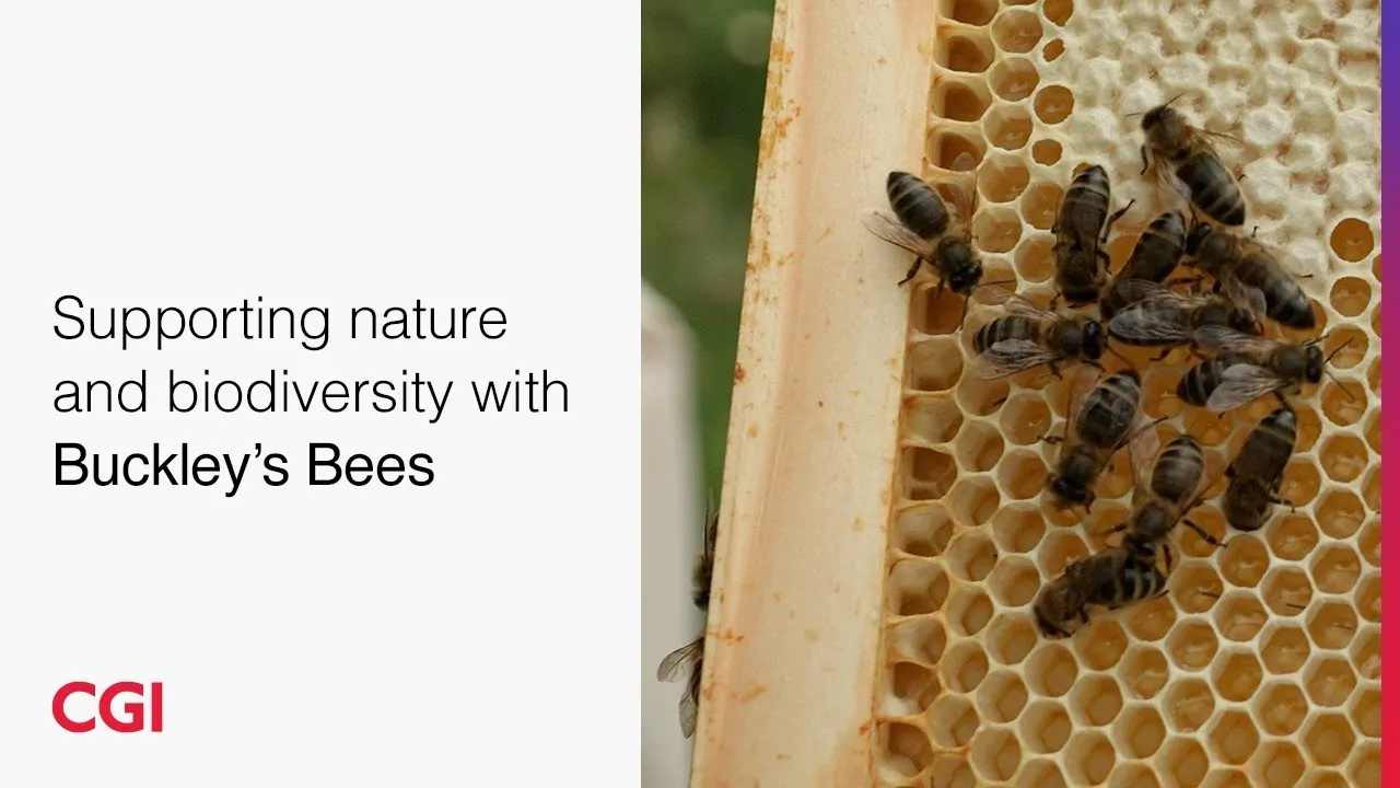 CGI Video Preview Image