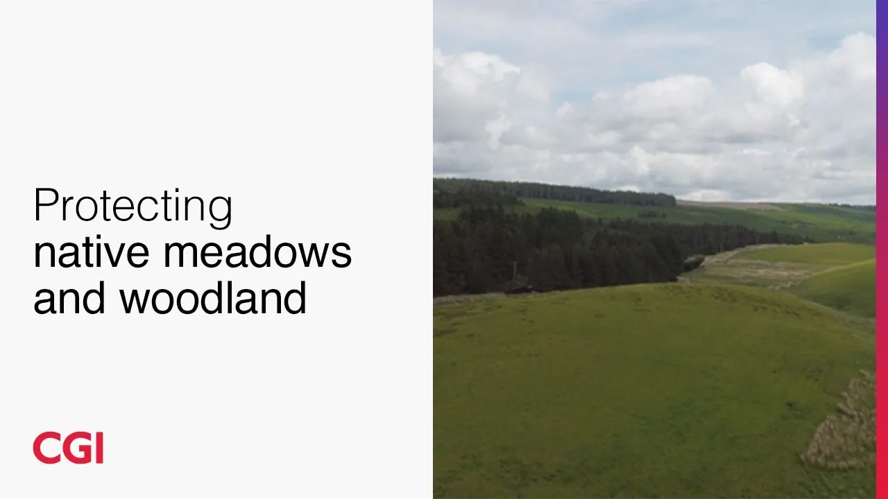 CGI Video Preview Image