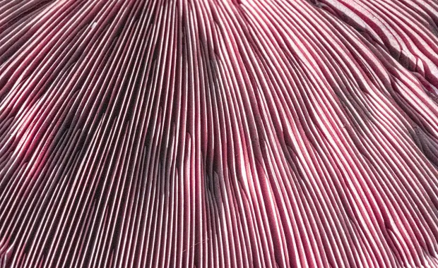 Abstrakt närbild av tätt liggande, vågformade linjer i rosa, vinröda och silverfärgade nyanser. Den glänsande ytan skapar ett tredimensionellt mönster med djup och rörelse.