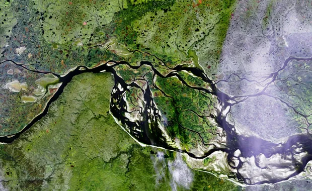 Aerial satellite view of a sprawling river delta