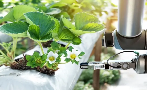 Déployer des politiques pour lutter contre le changement climatique n’est plus une option. 