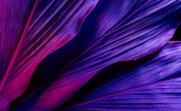 cgi_digitaliseerimine_strateegiline_partnerlus