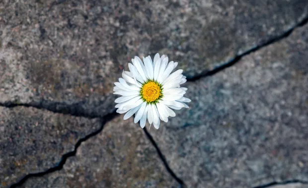 Mitä tarkoittaa digitaalinen suvereniteetti?