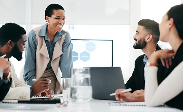 Professionals having a meeting