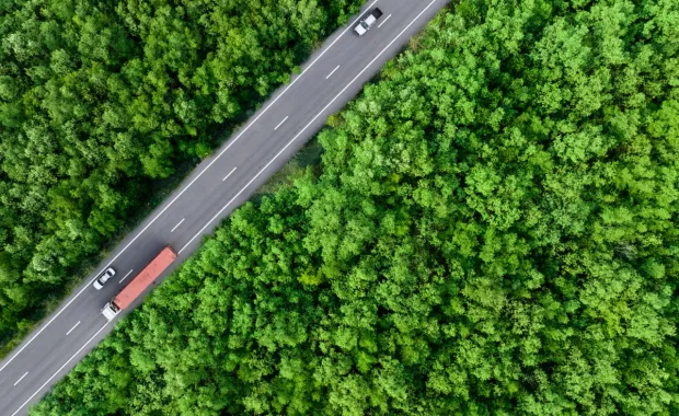 Luftaufnahme einer Straße durch dichten Wald als visuelle Metapher für Orientierung, Struktur und Steuerung in komplexen Daten- und KI-Landschaften