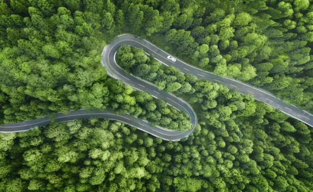 Luftaufnahme einer kurvigen Straße durch einen Wald als Symbol für Augmented Reality im Automotive-Bereich, digitale Nutzerinteraktion im Fahrzeug und erweiterte Traveller’s Experience
