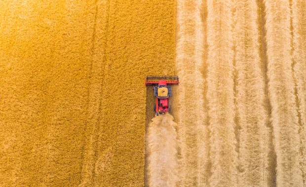 aerial_view_harvesting