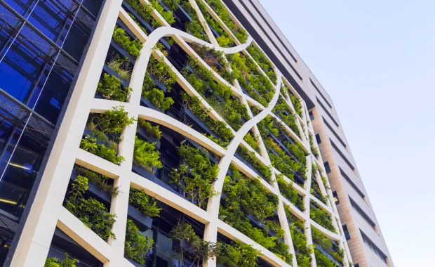 Office building with a living green wall