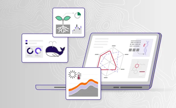 Impact stories illustration