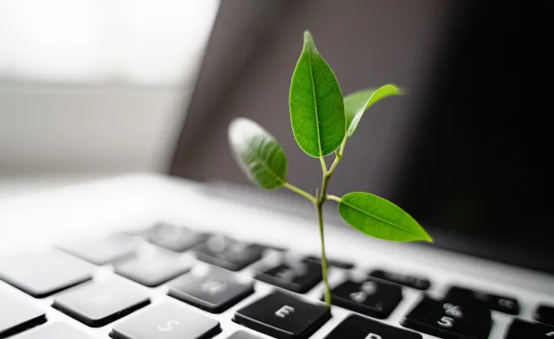 Planta som växer från ett tangentbord på en laptop