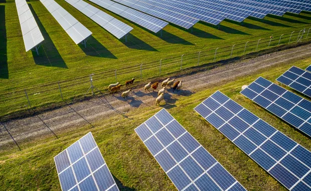 Solar panels in a field
