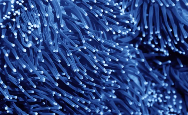 zoomed in view of glowing blue fiber optic strands