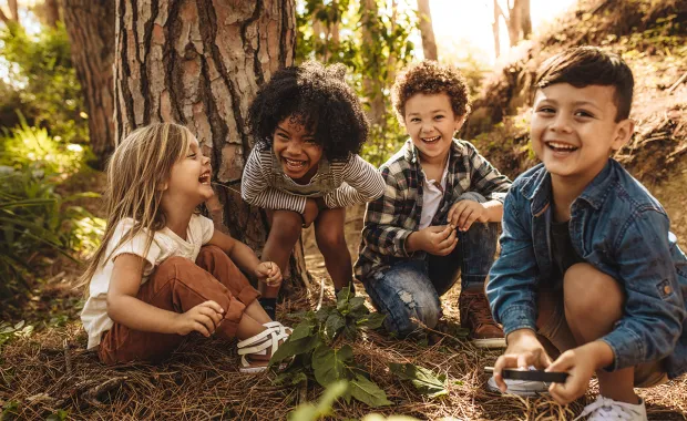 Smiling happy children sitting in a forest around a a tree sapling