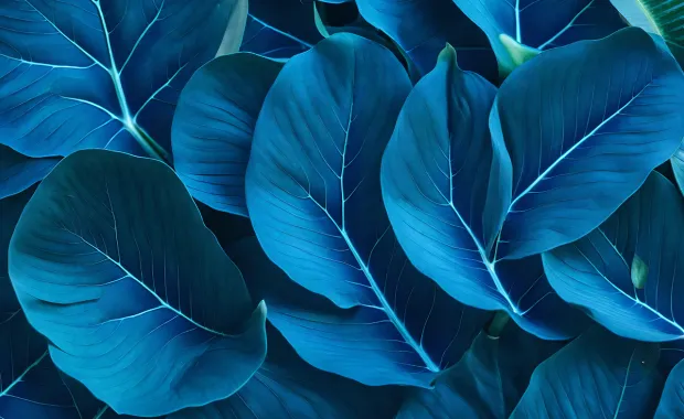 Blue leaf abstract