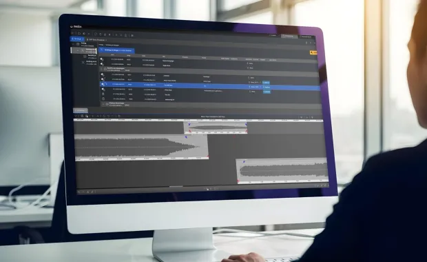 consultant looking at data on computer screen